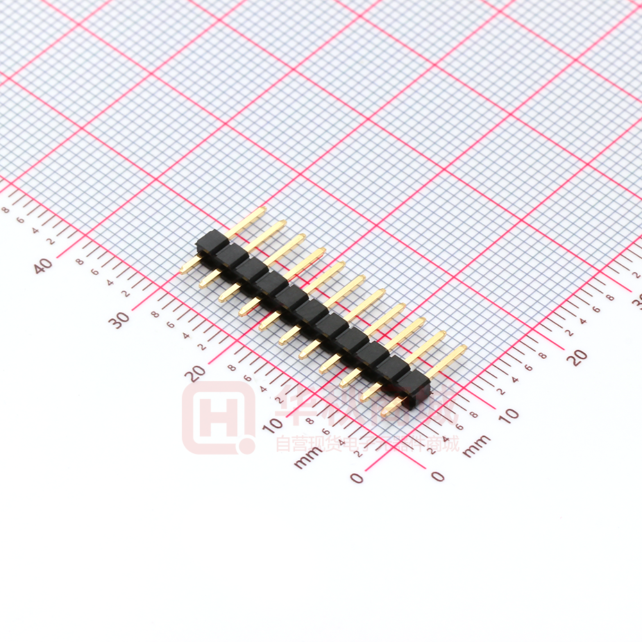 A2541WV-11P