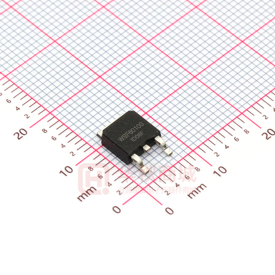 WSF60100