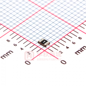 SMD0805-010-24V