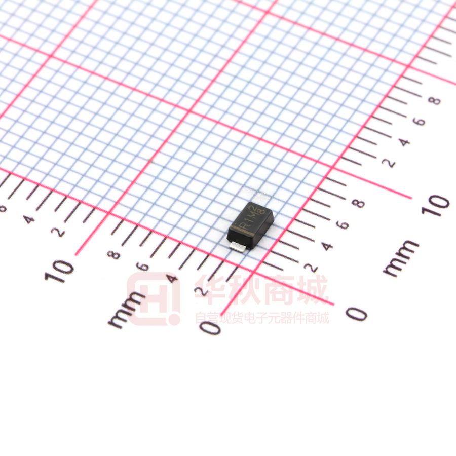 RS1010FL_R1_00001