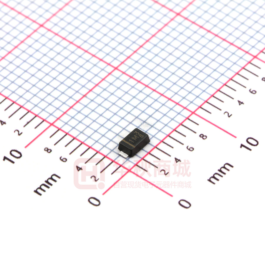 GS1010FL_R1_00001