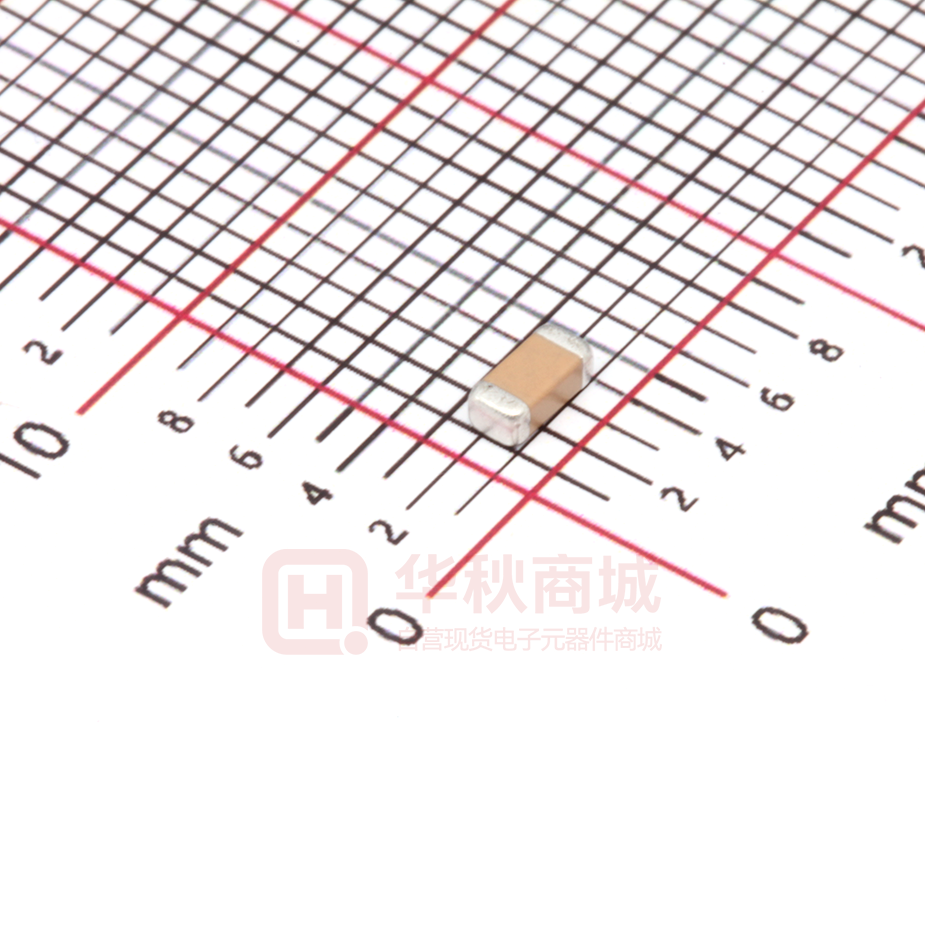 FV31X102K202ECG