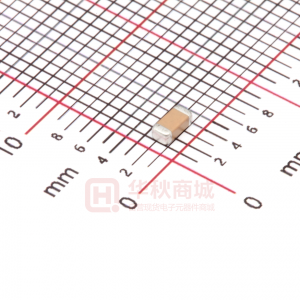 FV31X102K202ECG