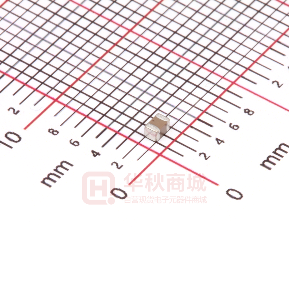 FS21X105K100ECG