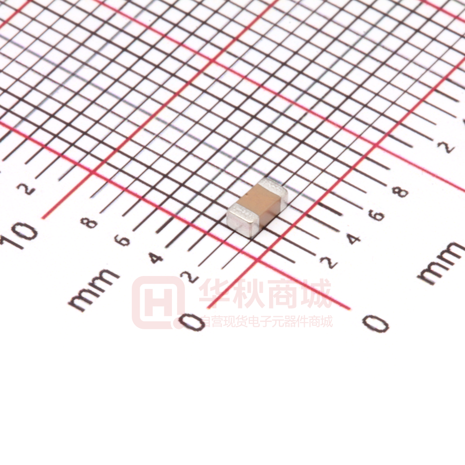 FS21X105K160ECG