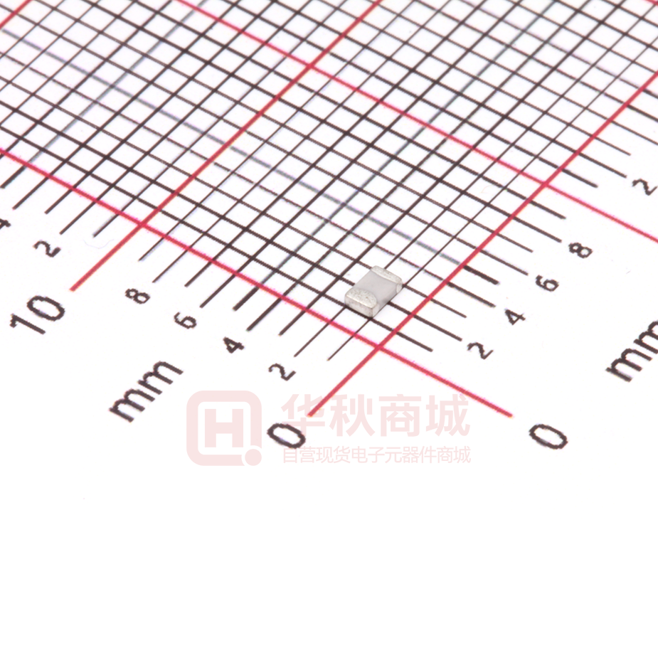 FM21N101J201PAG