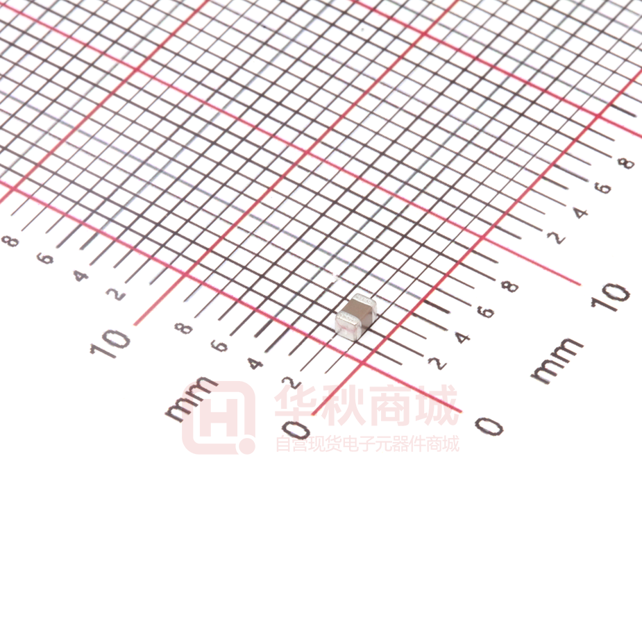 FS21X105K250ECG