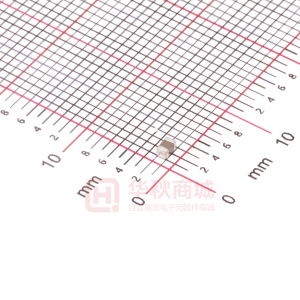 FS21X105K250ECG