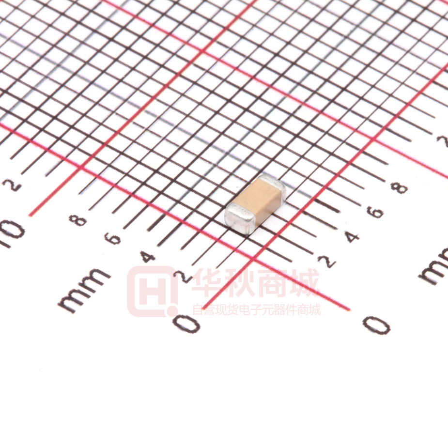 FV31X102K102ECG