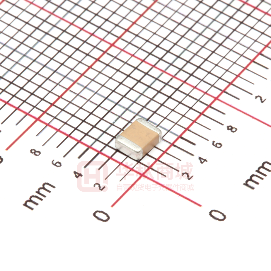 FM32X223K501ECG