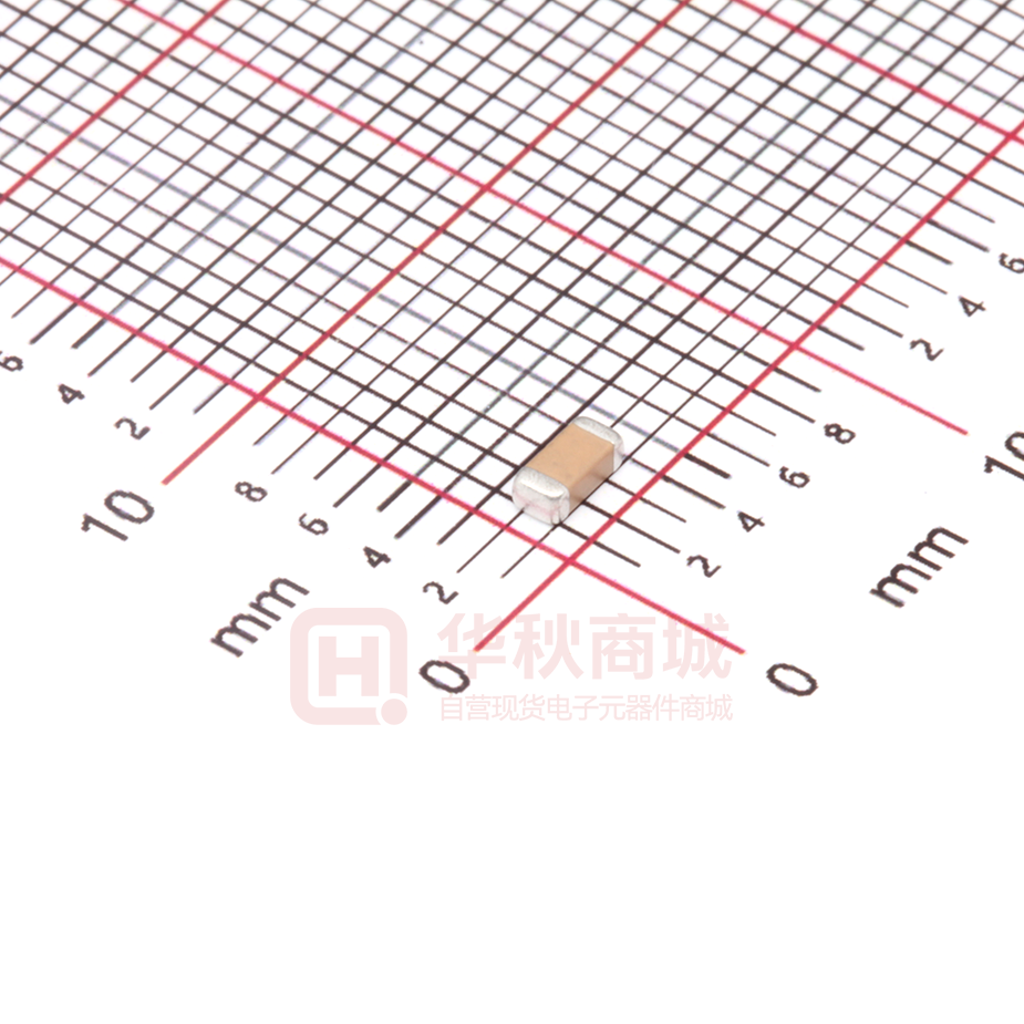 FV31X331K202ECG