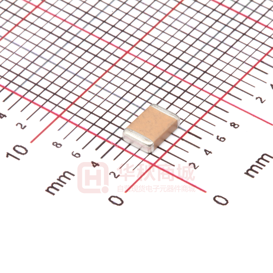 FV43X102K202ECG