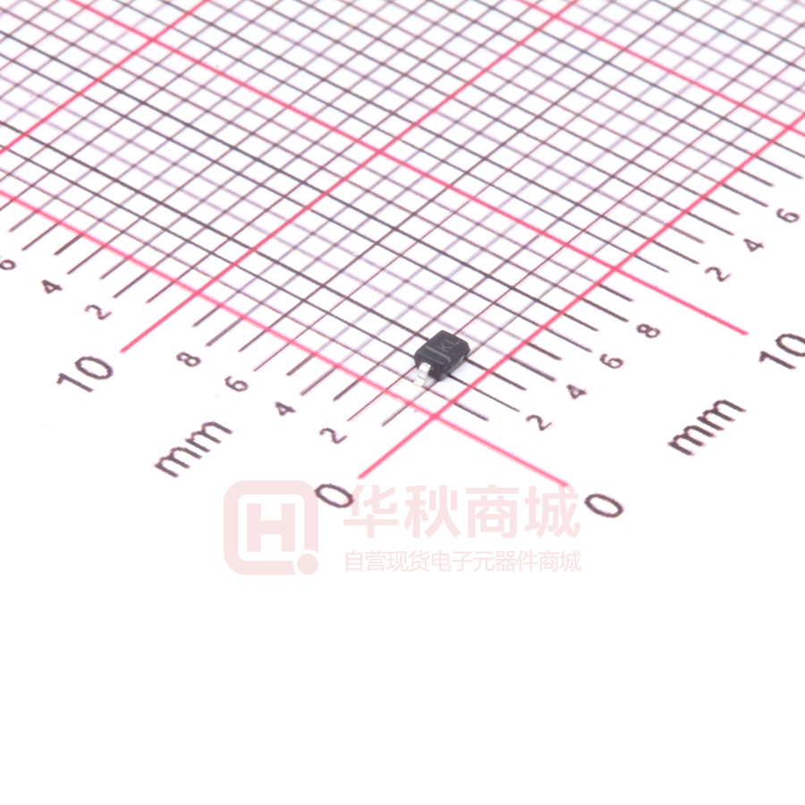 WSB5503W-2/TR