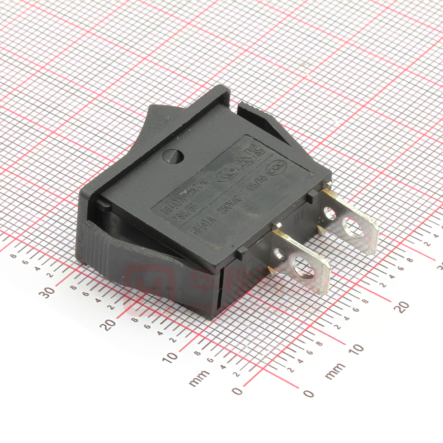 RS606-1010011CBB