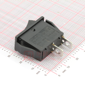 RS606-1010011CBB