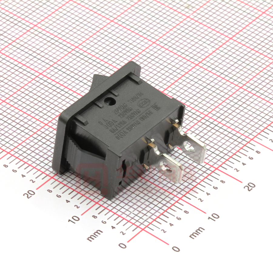 RS601A-1010011BB