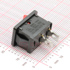 RS601A-1010011R3B