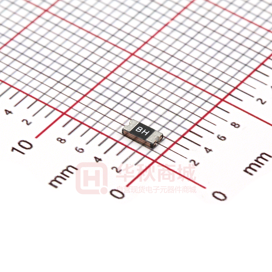 BSMD1206-110-6V