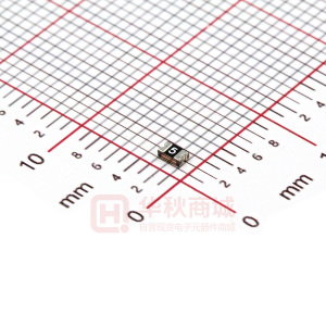 BSMD0805-050-6V