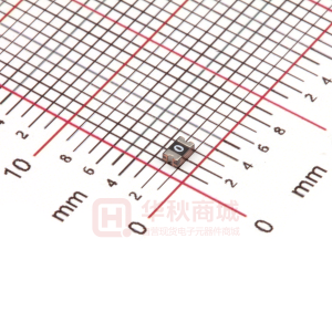 BSMD0805-100-12V