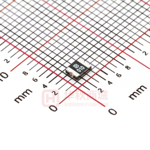 SMD1210B010TF