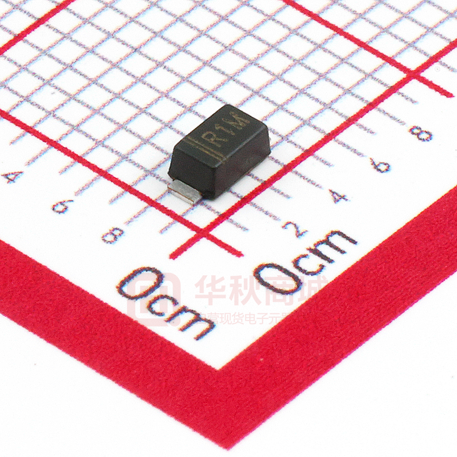 RS1ML