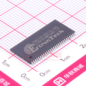 EM638165TS-6G
