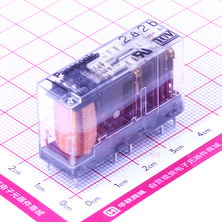 SFS2-DC24V