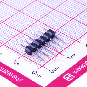 DS1021-1x6SF11-B