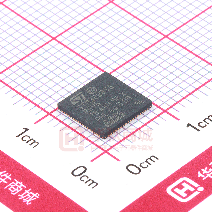 STM32WB55RGV6