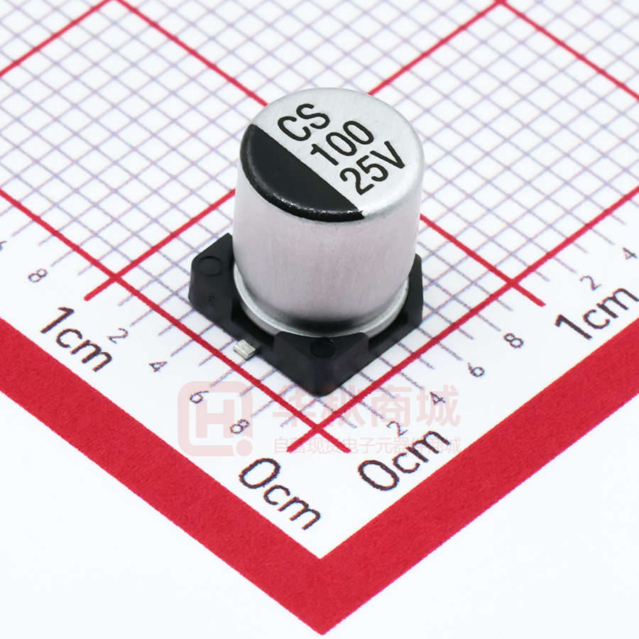 CS100UF25V167RV0154