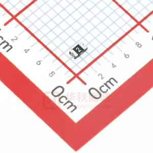 BSMD0603-020-24V