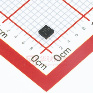 RJGT101D6